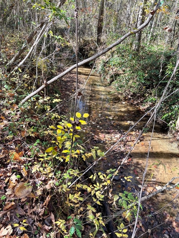 161 Chauga Shoals Drive