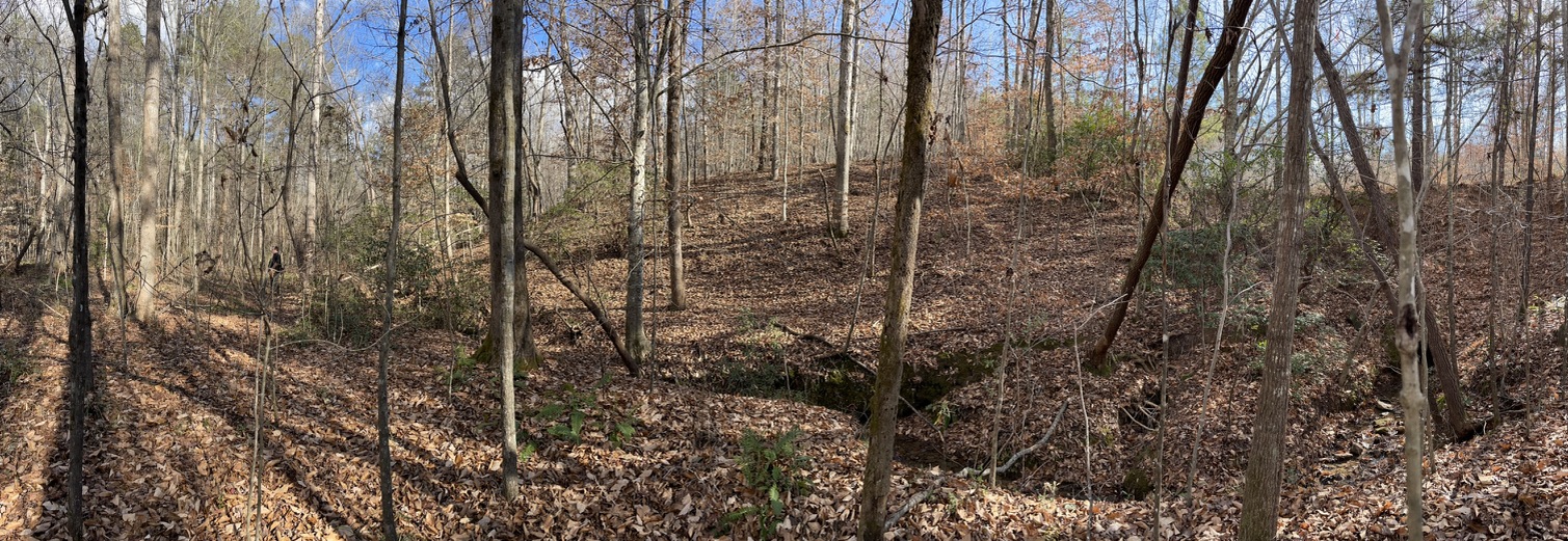 161 Chauga Shoals Drive