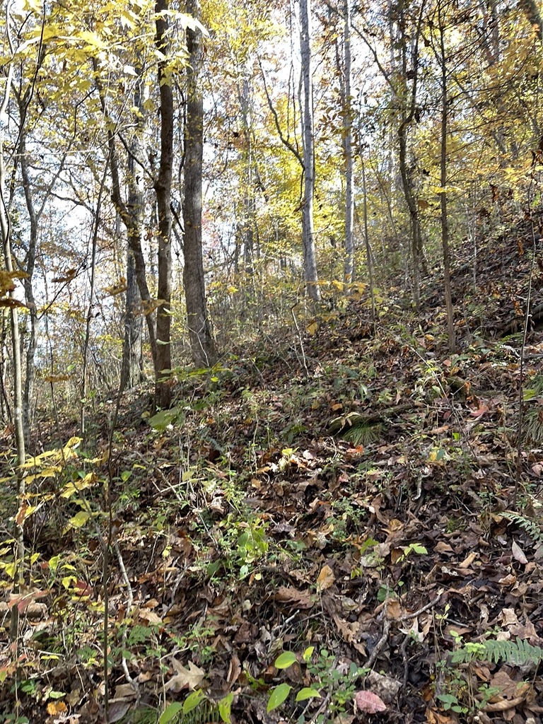 161 Chauga Shoals Drive