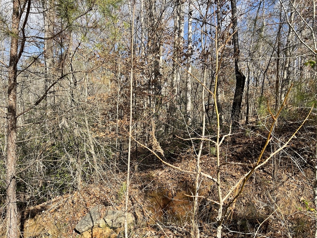 161 Chauga Shoals Drive