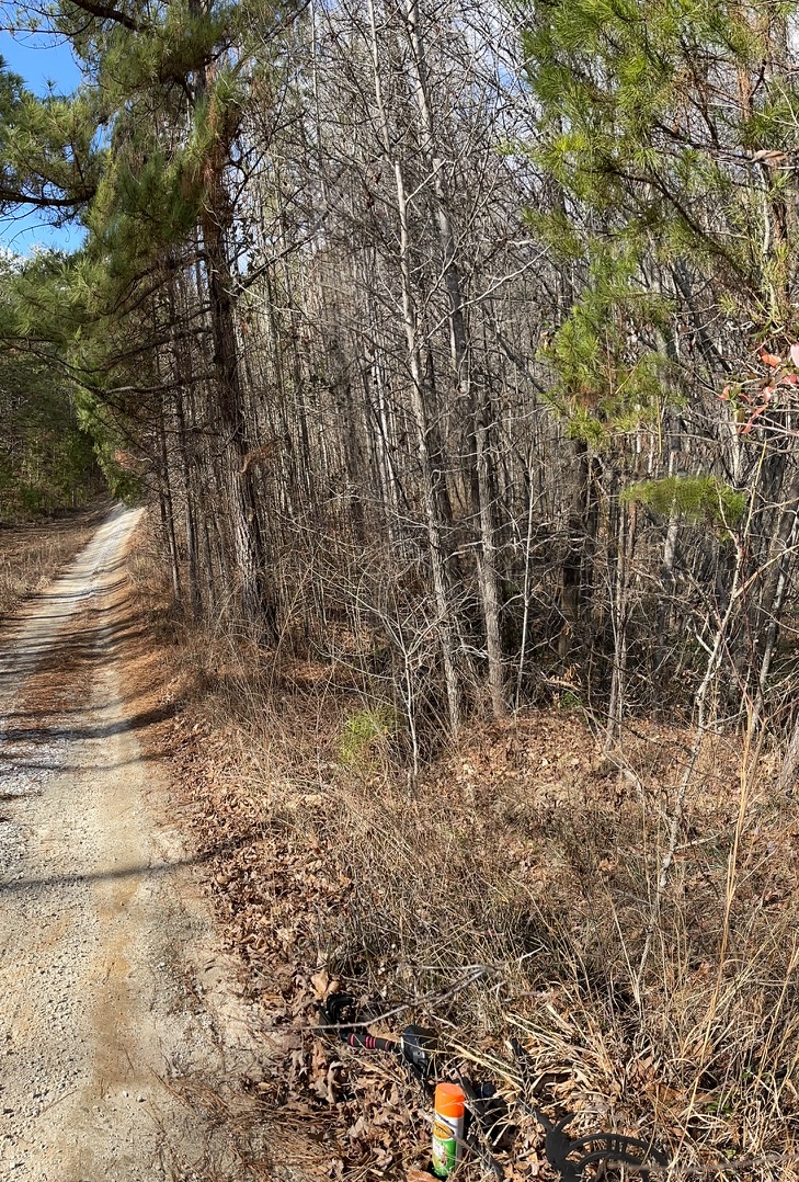 161 Chauga Shoals Drive