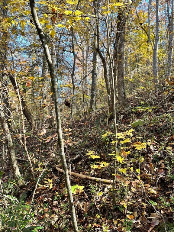 161 Chauga Shoals Drive