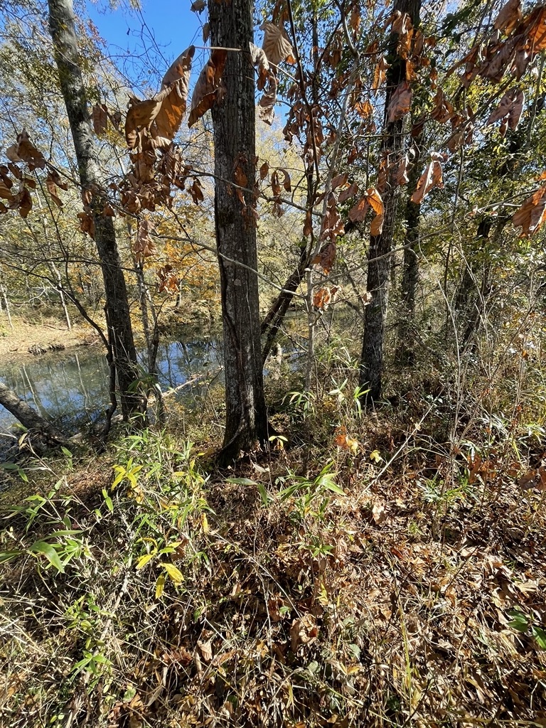 161 Chauga Shoals Drive