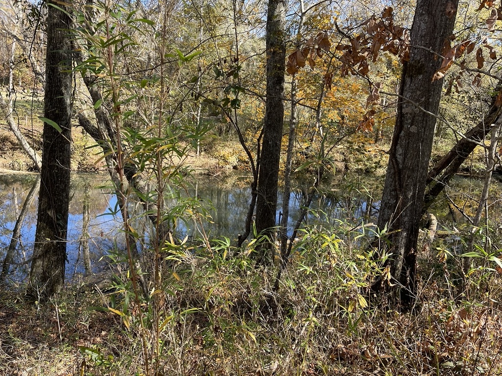 161 Chauga Shoals Drive