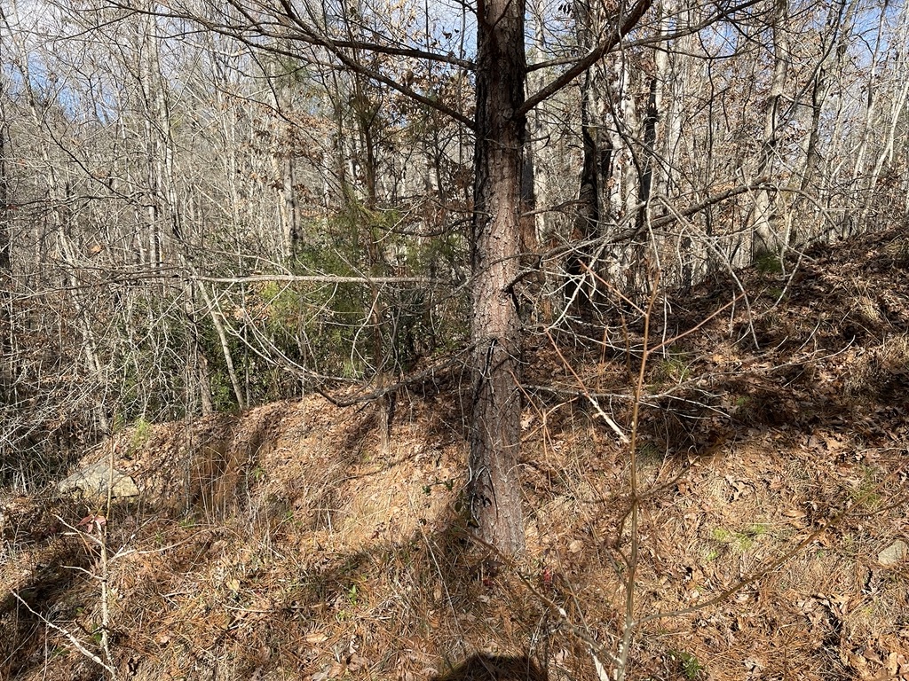 161 Chauga Shoals Drive