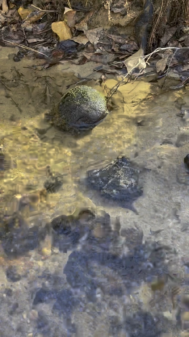 161 Chauga Shoals Drive