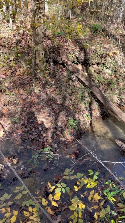 161 Chauga Shoals Drive