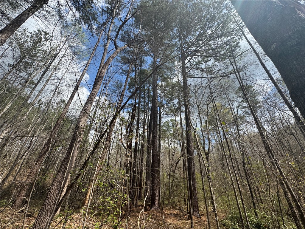 161 Chauga Shoals Drive