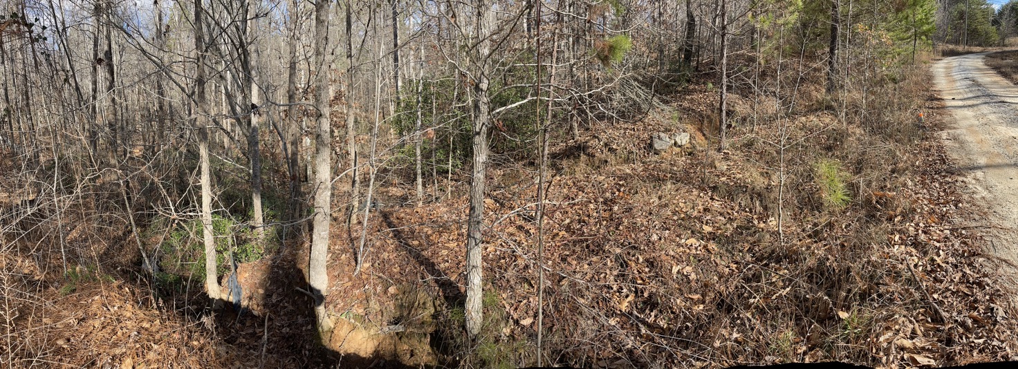 161 Chauga Shoals Drive