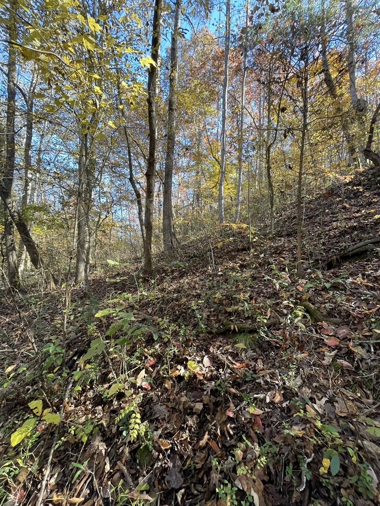 161 Chauga Shoals Drive