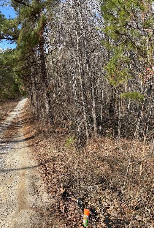 161 Chauga Shoals Drive