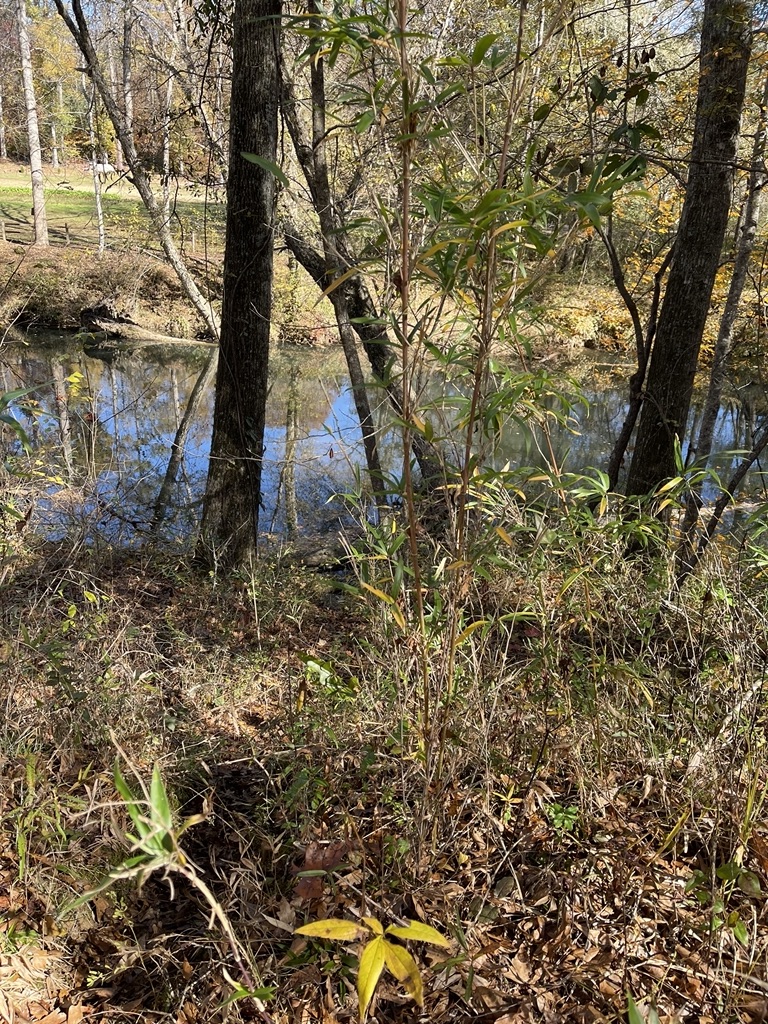 161 Chauga Shoals Drive