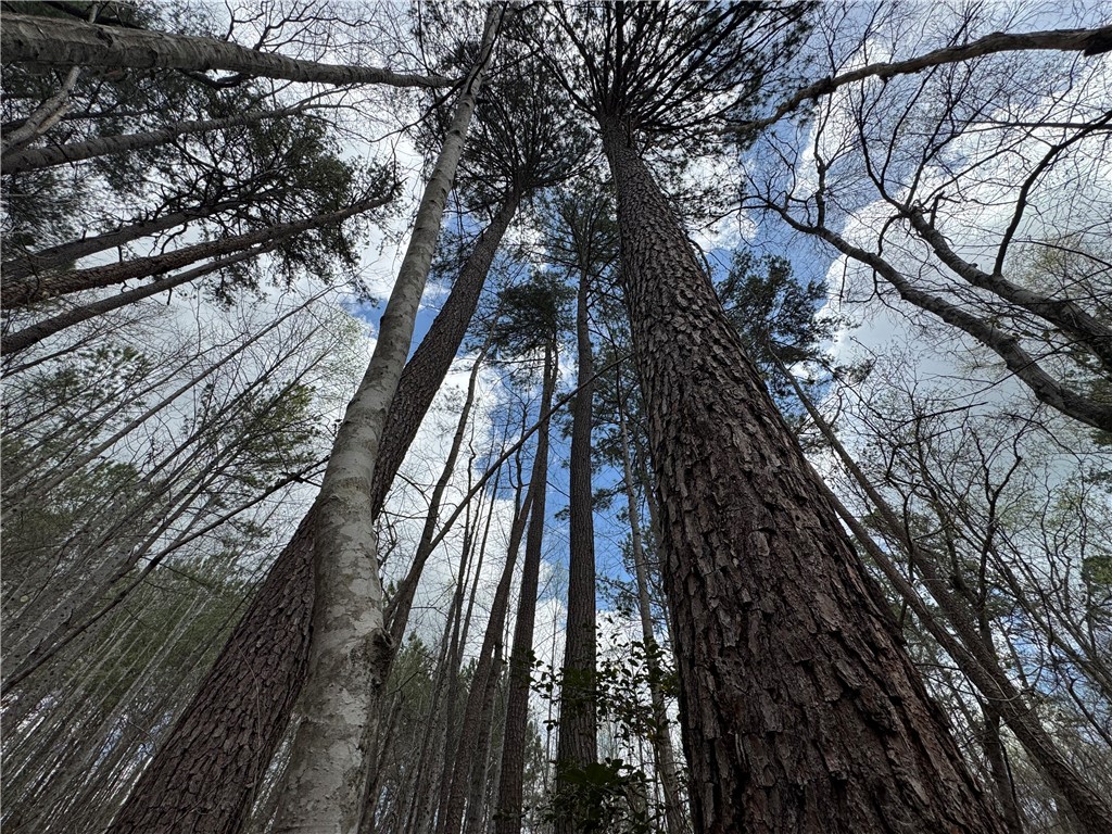 161 Chauga Shoals Drive