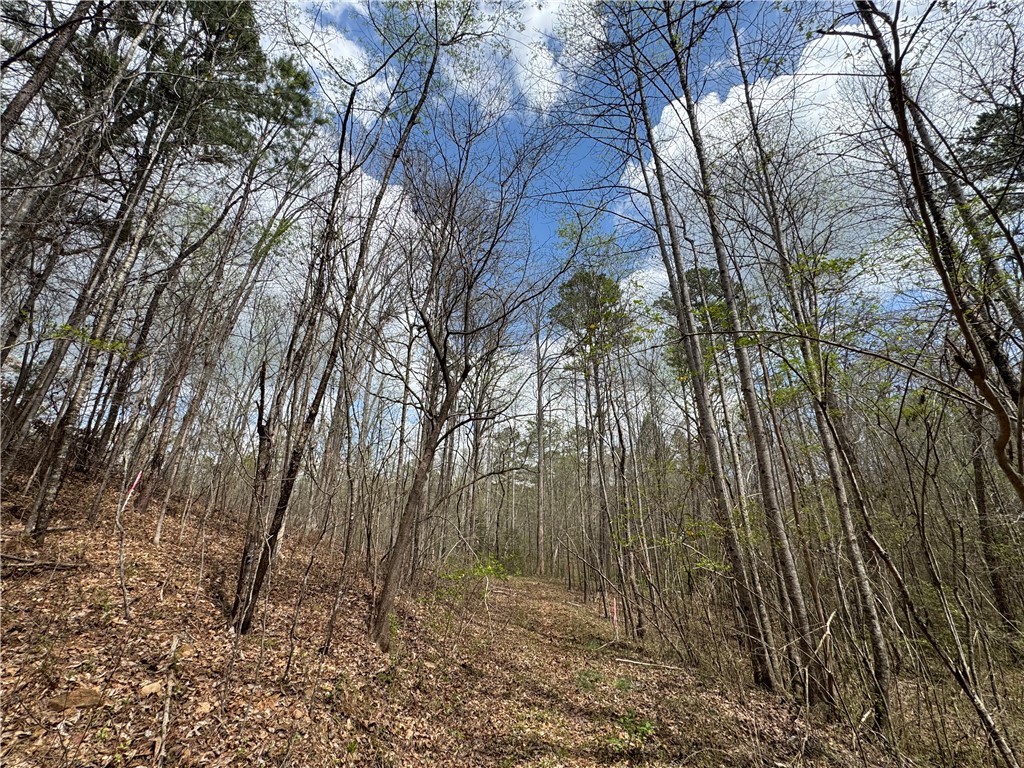 161 Chauga Shoals Drive