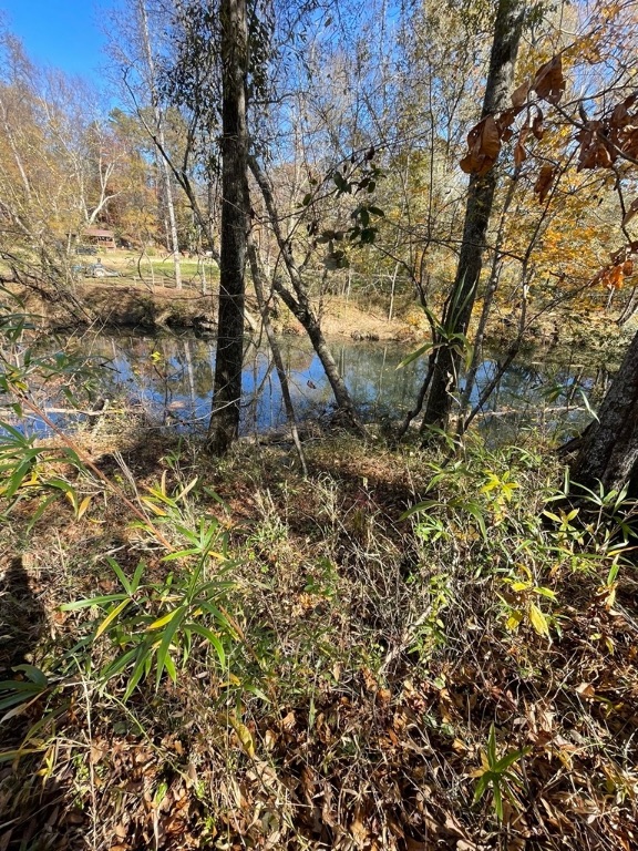 161 Chauga Shoals Drive