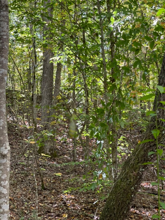 161 Chauga Shoals Drive