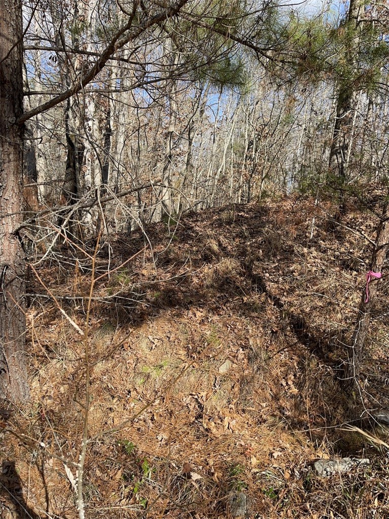 161 Chauga Shoals Drive