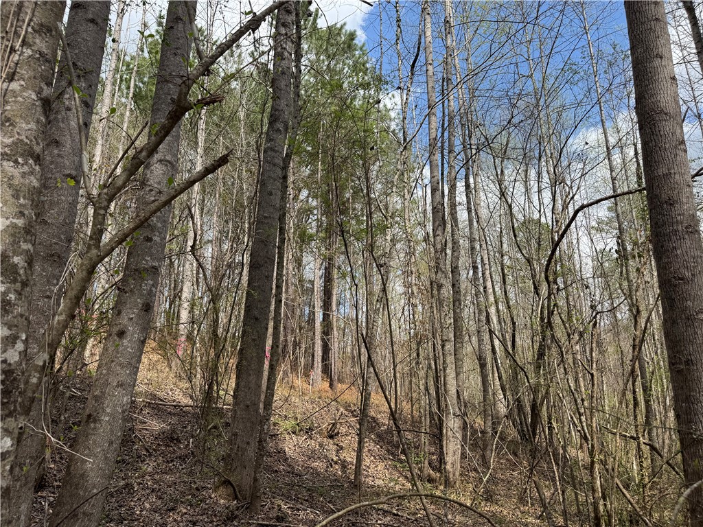 161 Chauga Shoals Drive