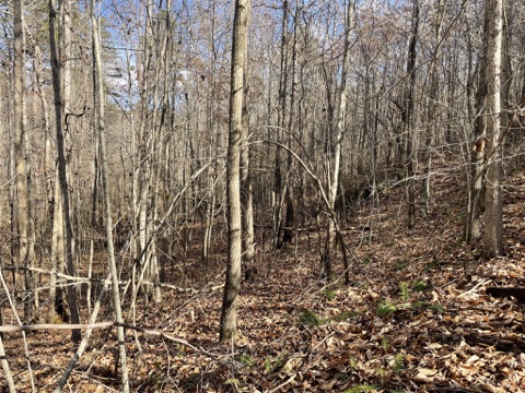 161 Chauga Shoals Drive