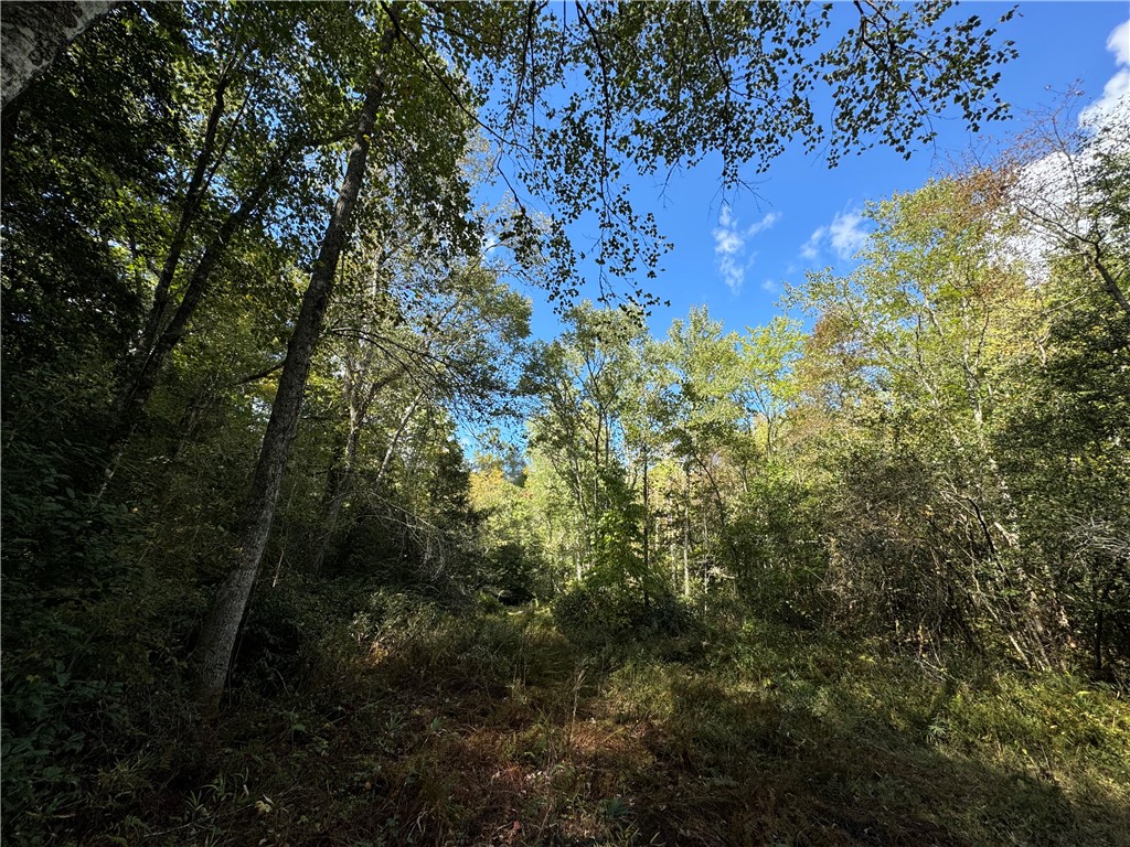 2160 Battlecreek Road