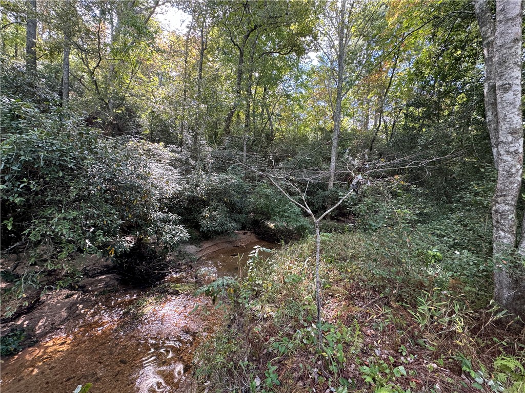 2160 Battlecreek Road