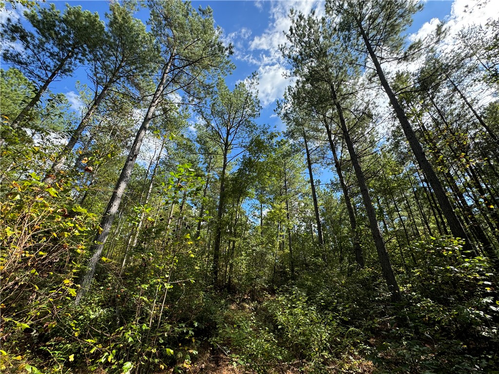 2160 Battlecreek Road