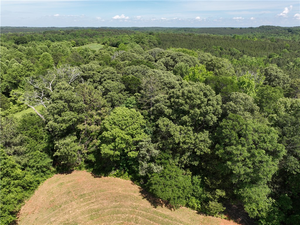 566 W Pine Grove Road