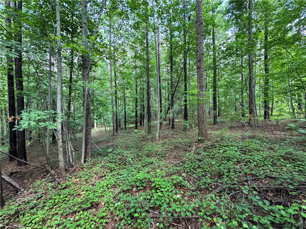 130 Old Knox Bridge Road