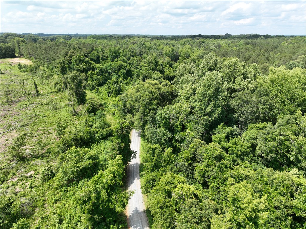 100 Gene Fleming Road