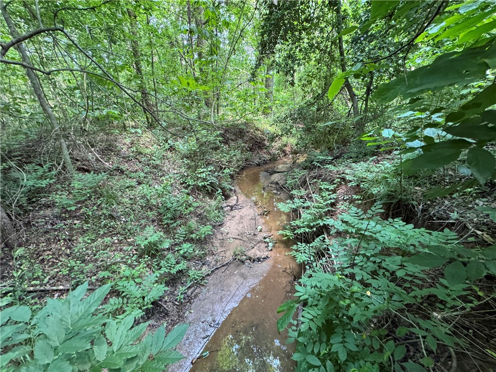 100 Gene Fleming Road