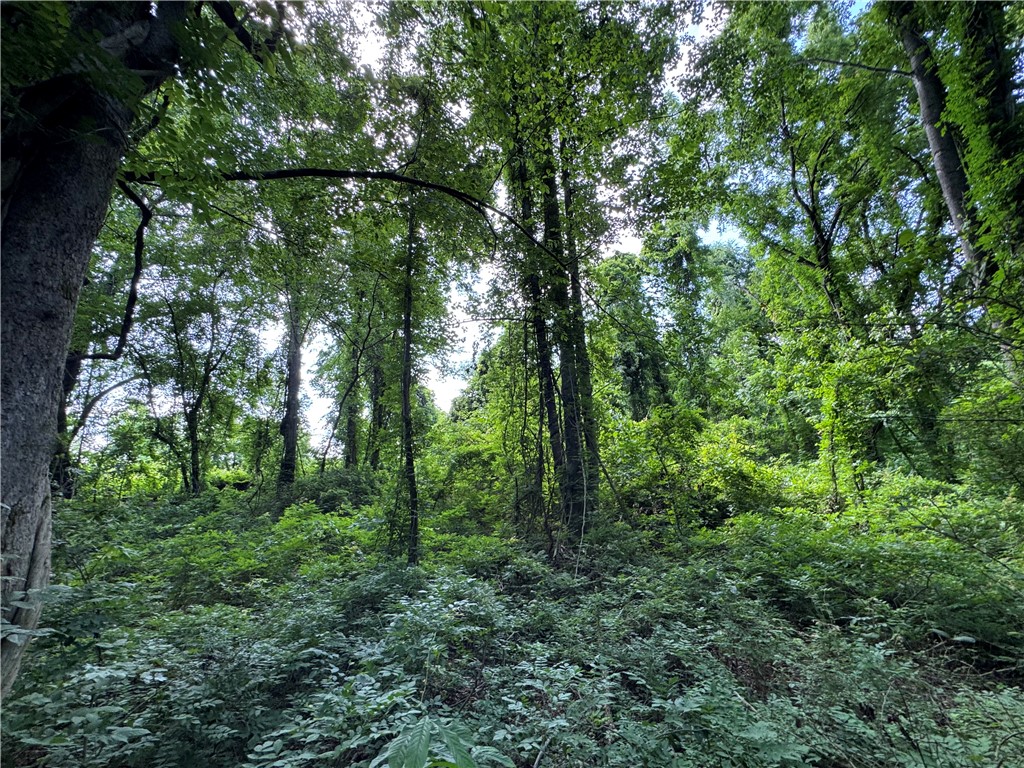 100 Gene Fleming Road