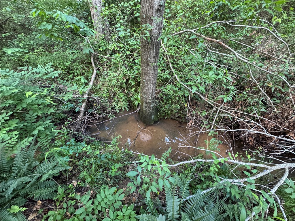 100 Gene Fleming Road