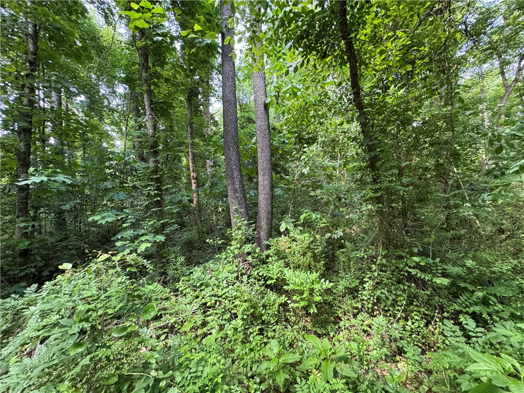 100 Gene Fleming Road