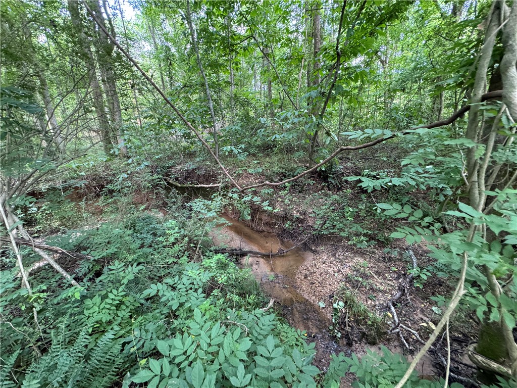 100 Gene Fleming Road