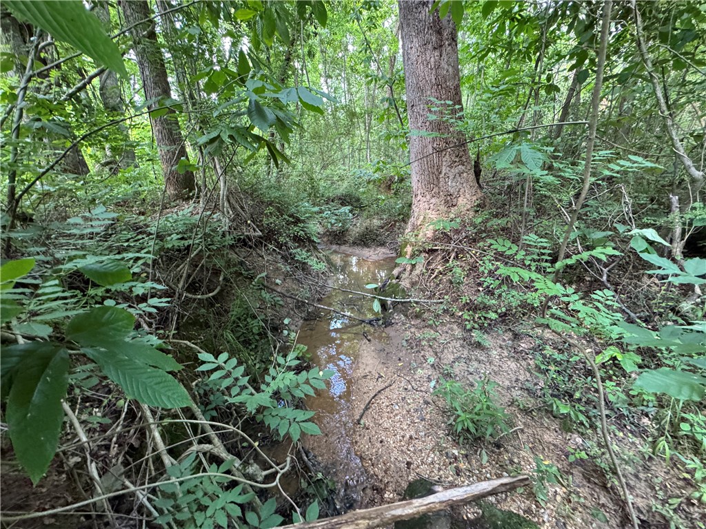 100 Gene Fleming Road