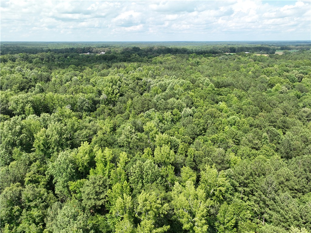 100 Gene Fleming Road