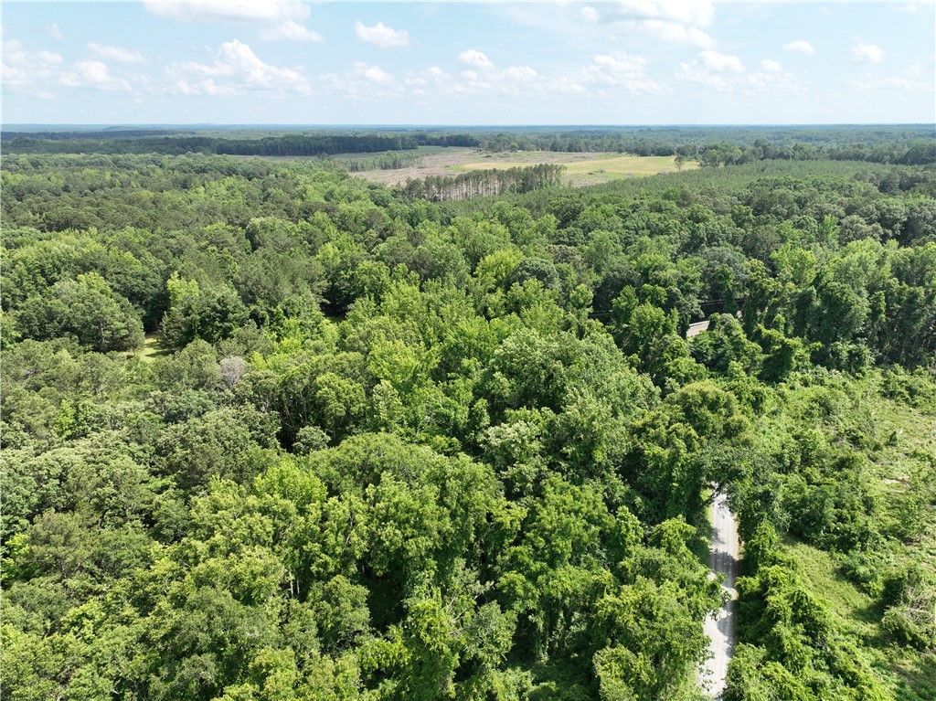 100 Gene Fleming Road