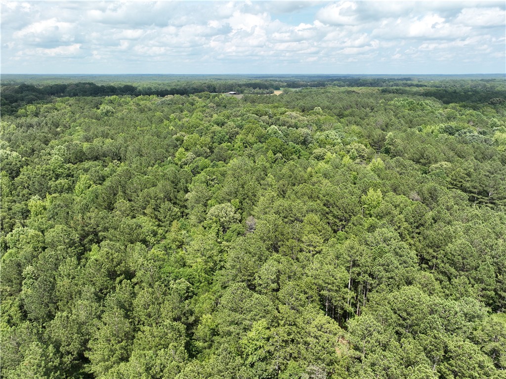 100 Gene Fleming Road