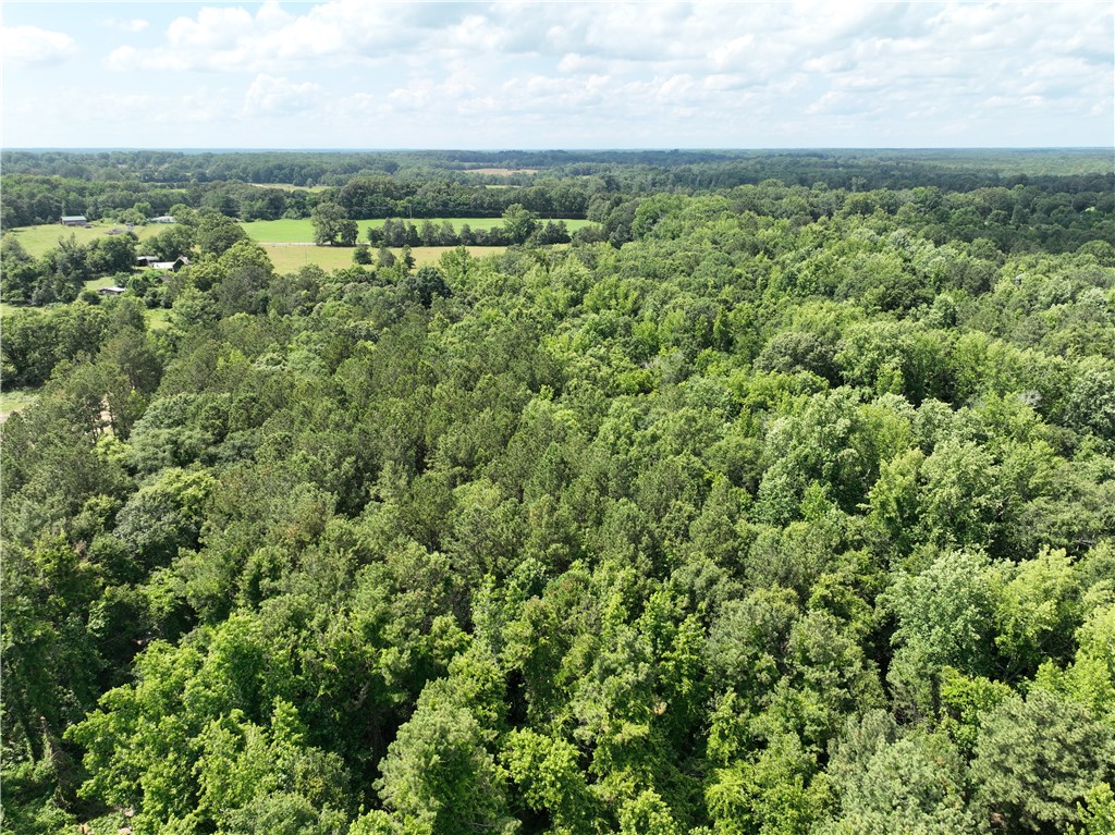 100 Gene Fleming Road