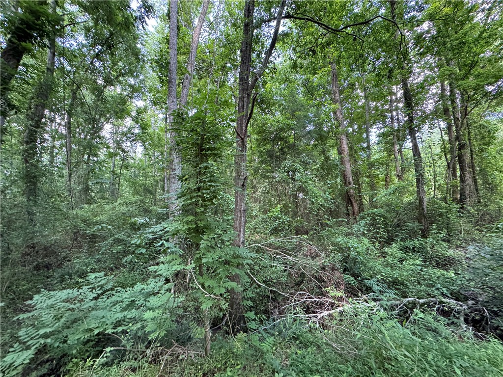 100 Gene Fleming Road