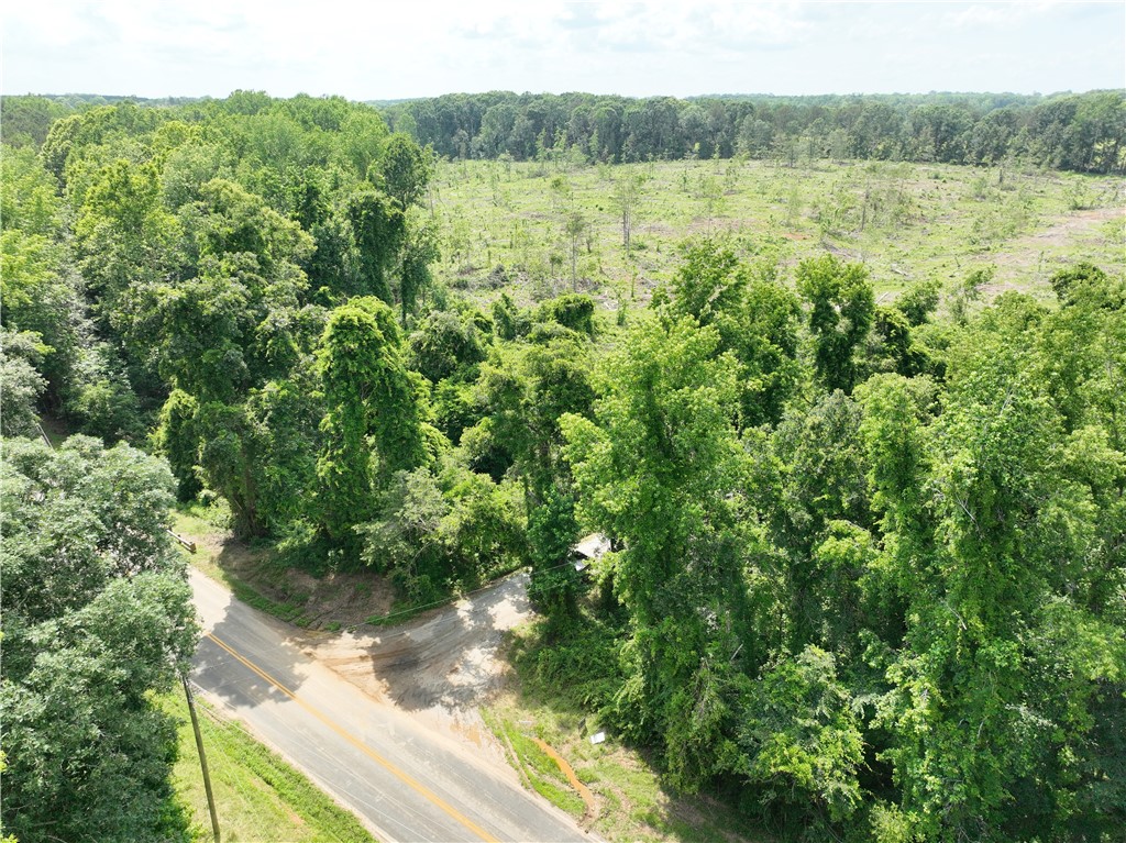 100 Gene Fleming Road