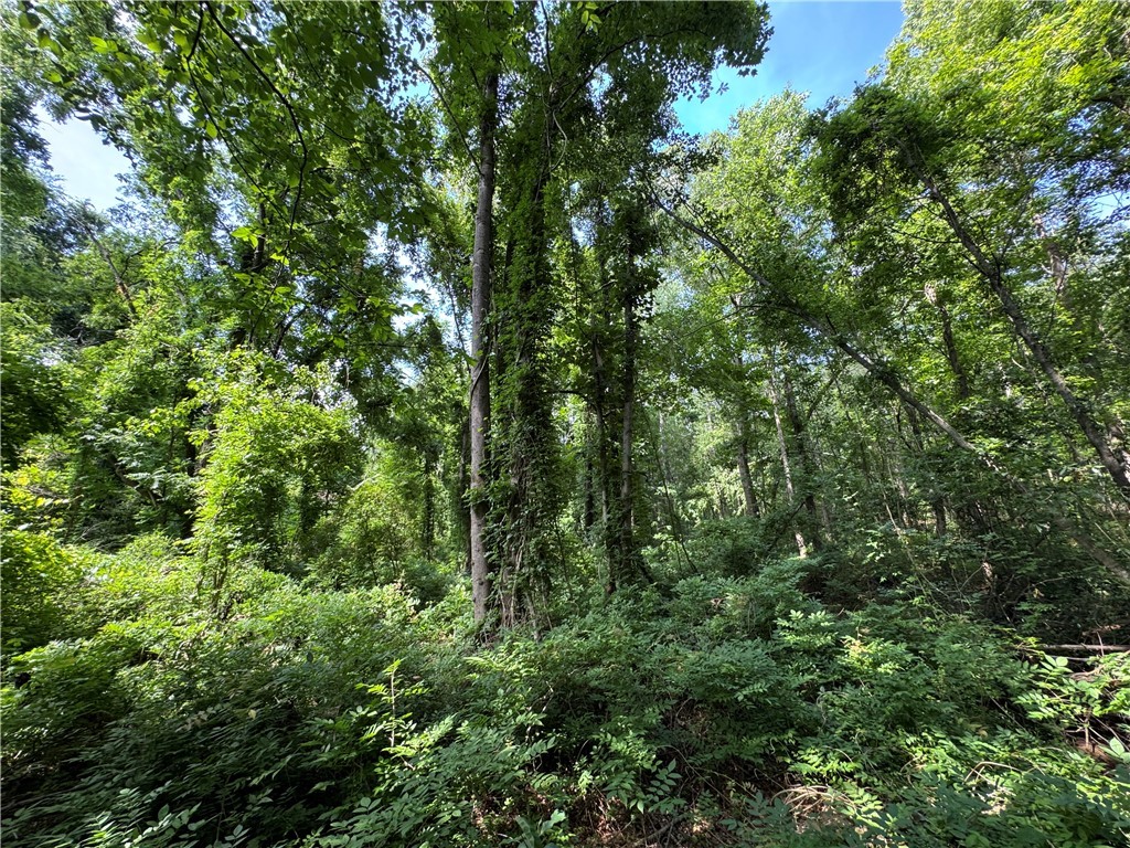 100 Gene Fleming Road