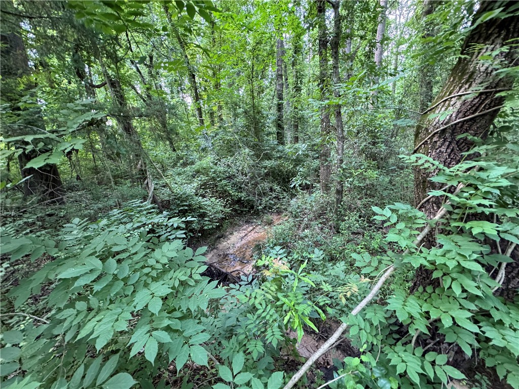 100 Gene Fleming Road