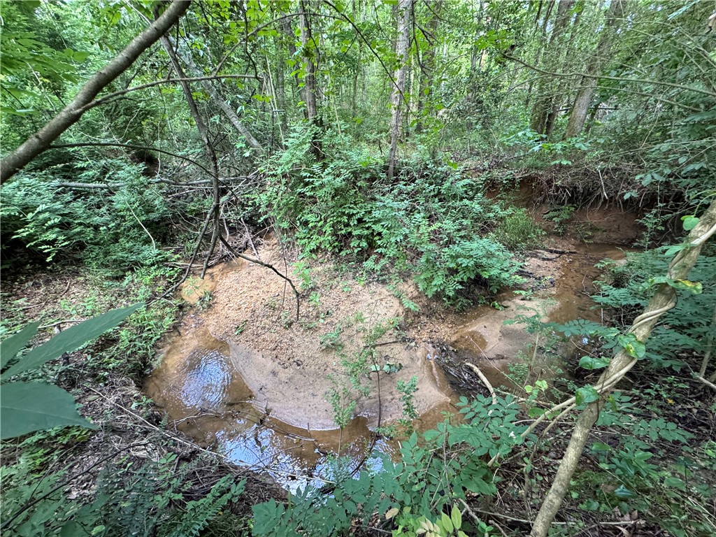 100 Gene Fleming Road