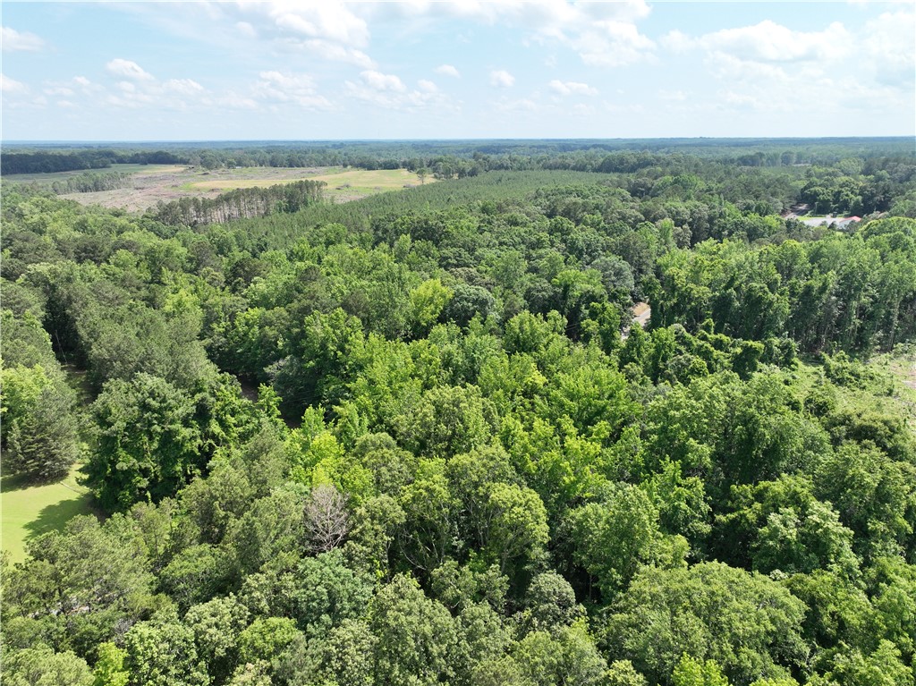 100 Gene Fleming Road