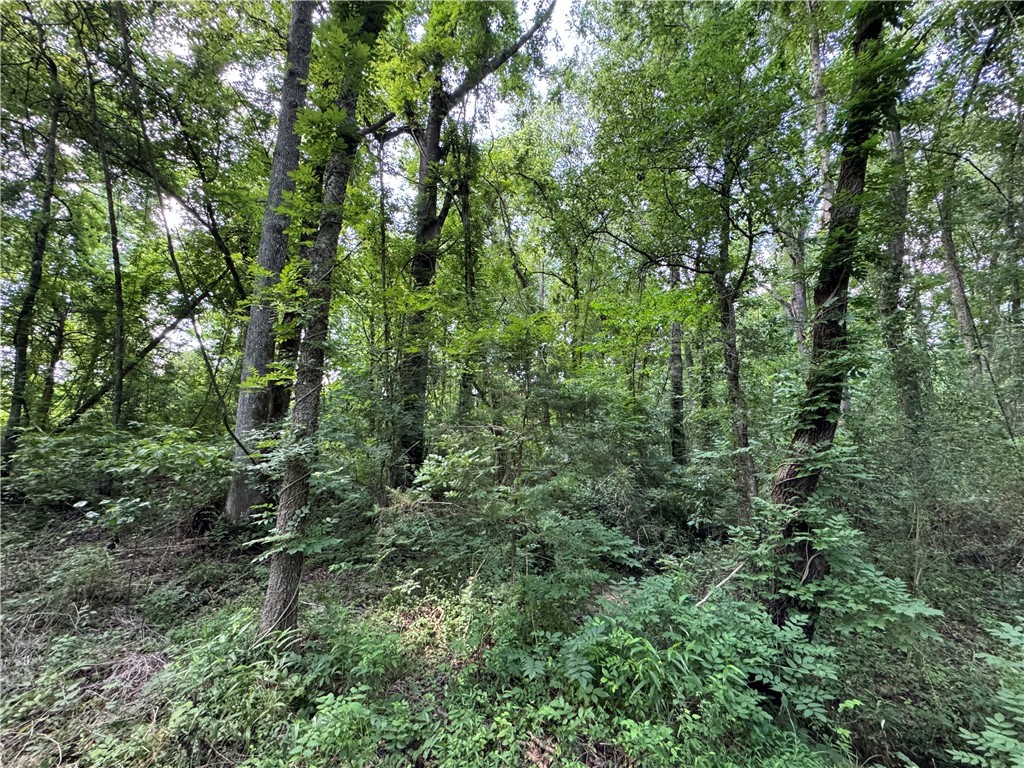 100 Gene Fleming Road