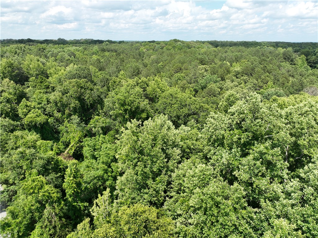 100 Gene Fleming Road