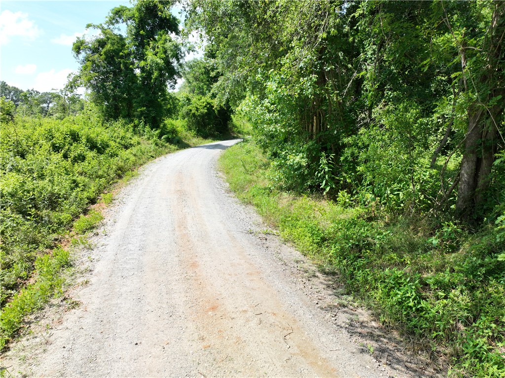 100 Gene Fleming Road