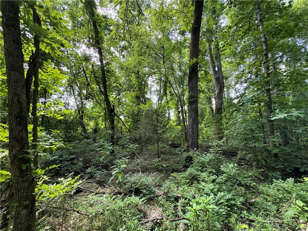 100 Gene Fleming Road