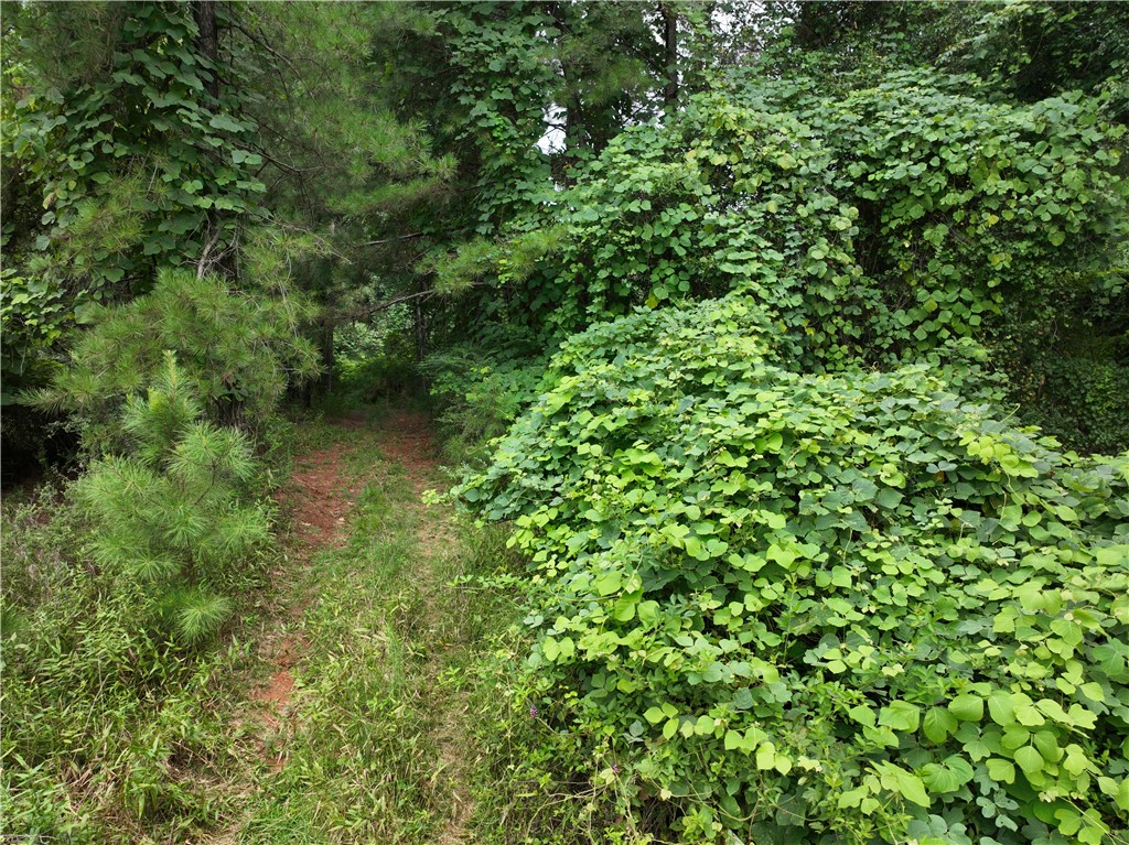 135 Herring Road